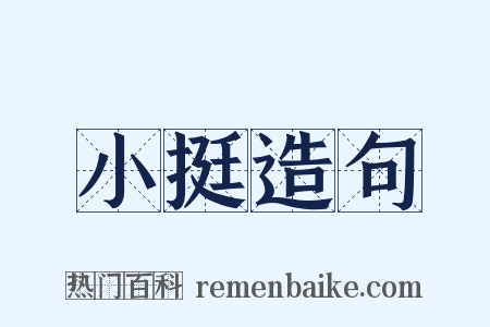小挺造句是什么意思的图片